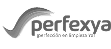 Logo perfexya