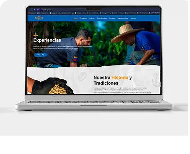 Imagen proyecto web