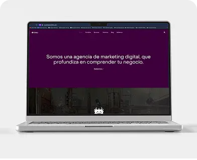 imagen de proyecto web